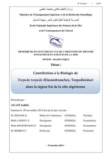 Contribution à la biologie de Torpedo torpedo (Elasmobranches, Torpedinidae) dans la région est de la côte algérienne.: