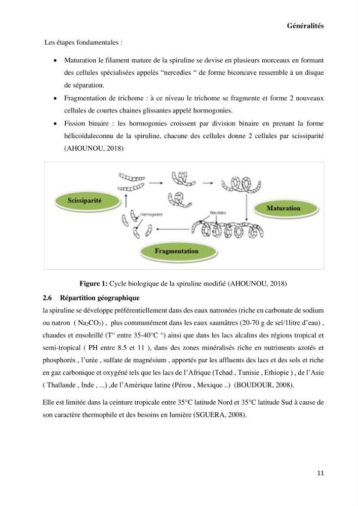 Extraction et purification de la phycocyanine à partir d’une microalgue *spiruline*caux possibilites cosmetiques.:
