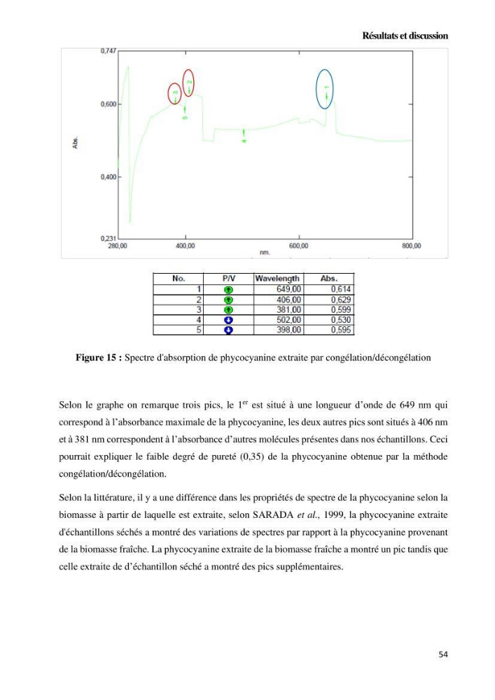 Extraction et purification de la phycocyanine à partir d’une microalgue *spiruline*caux possibilites cosmetiques.: