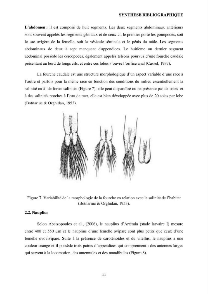 Evaluation des ressources d’artémie (Branchiopode) dans la partie ouest et sud-ouest de l’Algérie, une ressource alimentaire pour les poissons d’élevage.