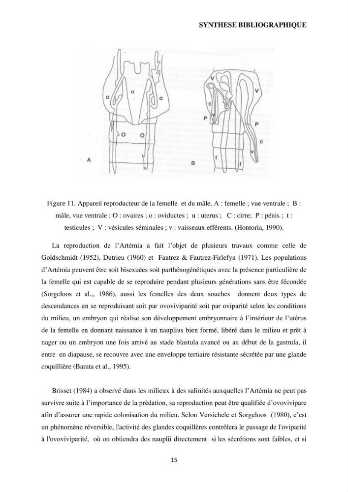 Evaluation des ressources d’artémie (Branchiopode) dans la partie ouest et sud-ouest de l’Algérie, une ressource alimentaire pour les poissons d’élevage.