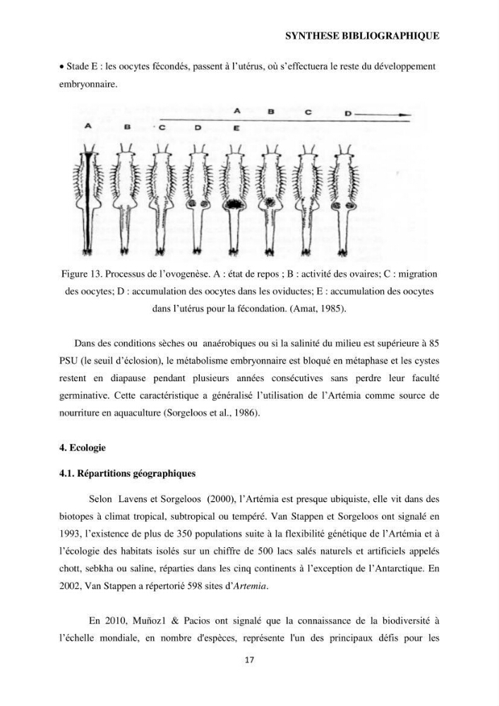 Evaluation des ressources d’artémie (Branchiopode) dans la partie ouest et sud-ouest de l’Algérie, une ressource alimentaire pour les poissons d’élevage.