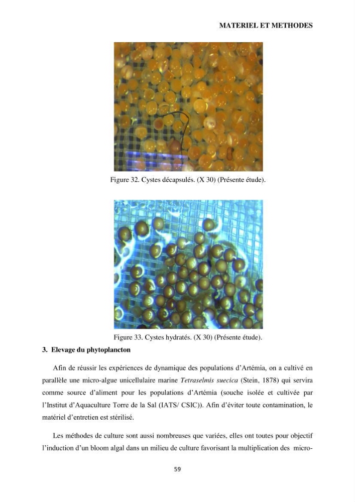 Evaluation des ressources d’artémie (Branchiopode) dans la partie ouest et sud-ouest de l’Algérie, une ressource alimentaire pour les poissons d’élevage.