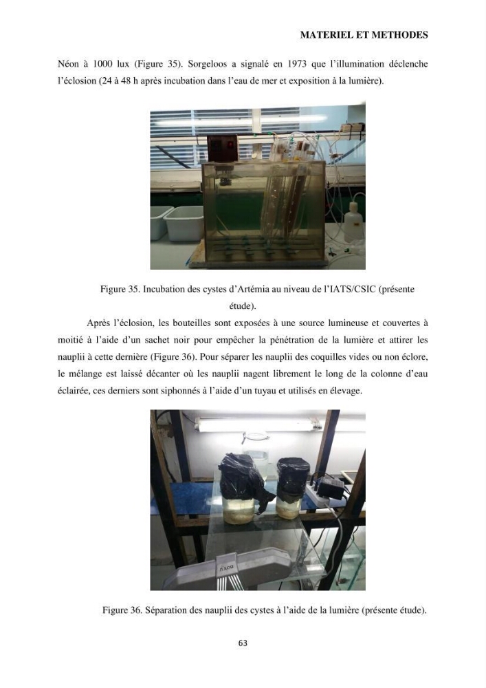 Evaluation des ressources d’artémie (Branchiopode) dans la partie ouest et sud-ouest de l’Algérie, une ressource alimentaire pour les poissons d’élevage.