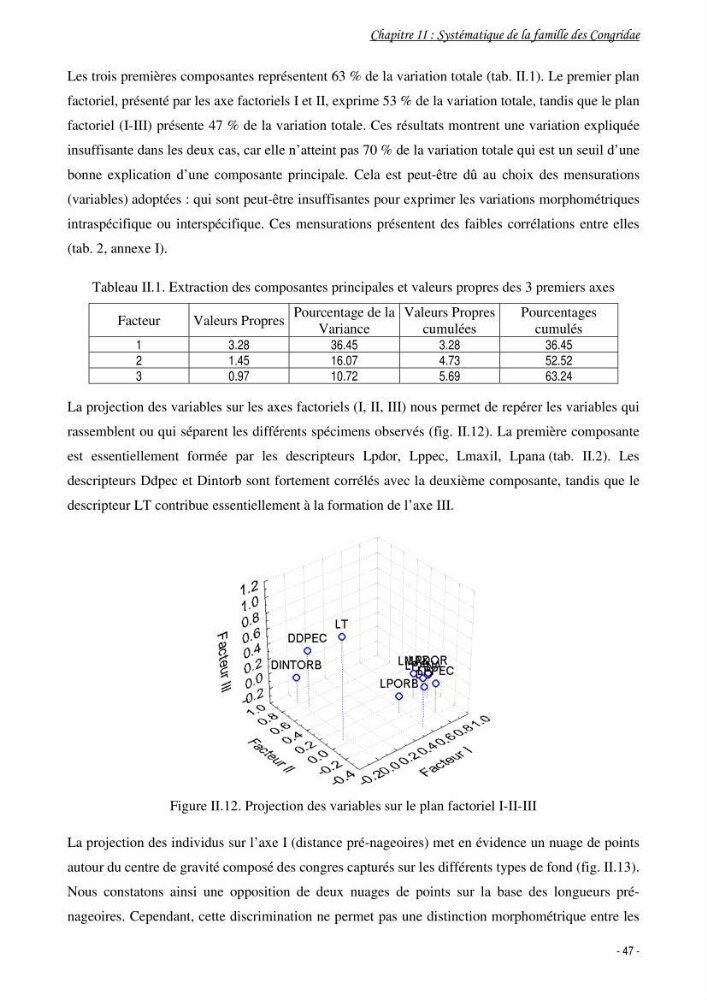 La famille des congridae ( Ostéichtyens, Anguilliformes) dans le bassin algérien