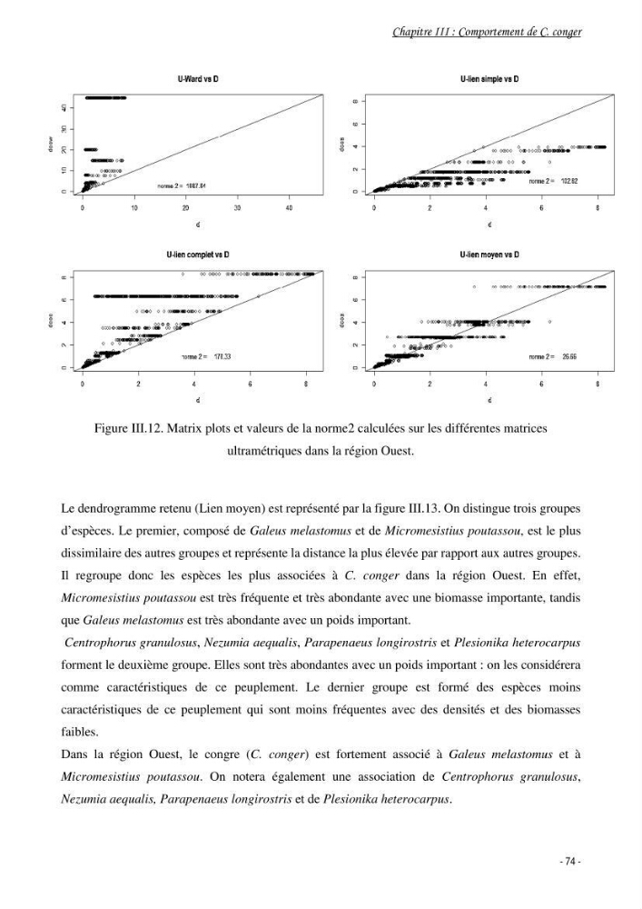 La famille des congridae ( Ostéichtyens, Anguilliformes) dans le bassin algérien