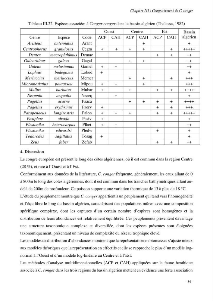 La famille des congridae ( Ostéichtyens, Anguilliformes) dans le bassin algérien