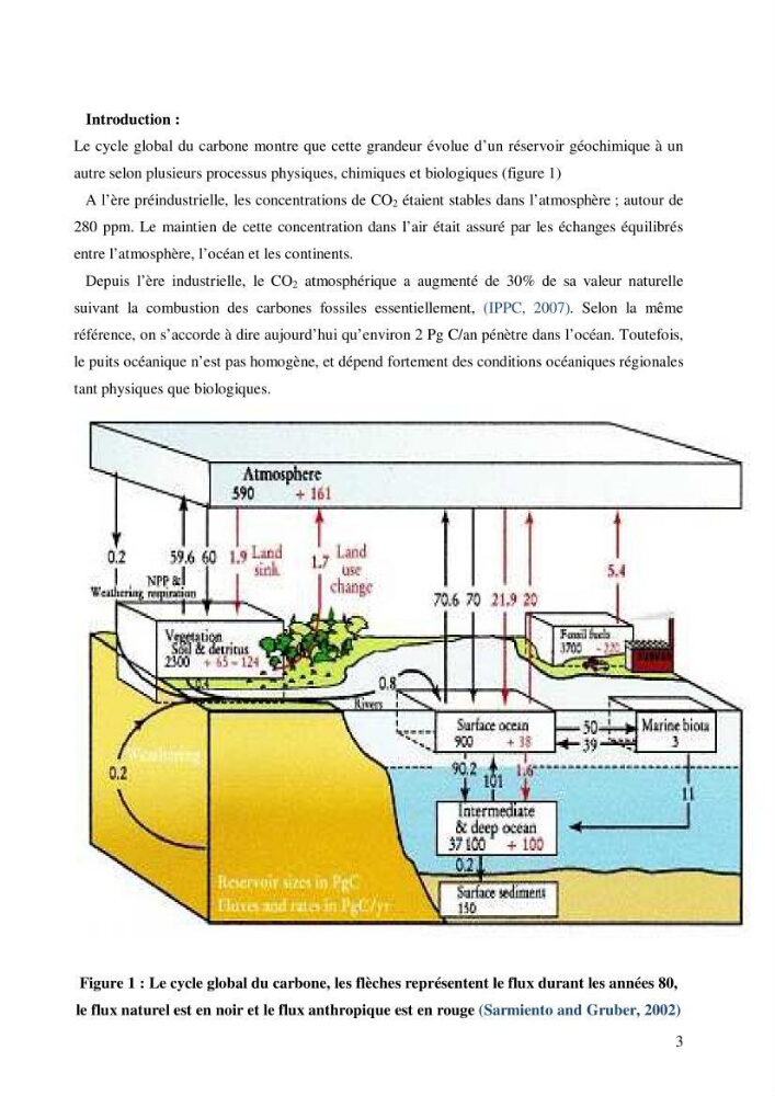 Contribution à l\'étude du cycle du carbone dans le bassin algérien