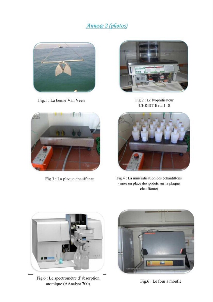 Evaluation de l\'état de la pollution par les sels nutritifs et les métaux lourds dans l\'eau et le sédiment superficiel de la baie de Bou-Ismail