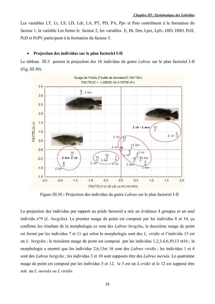 Contribution à l\'étude de la famille des labridae ( Osteichthyens, Perciformes):