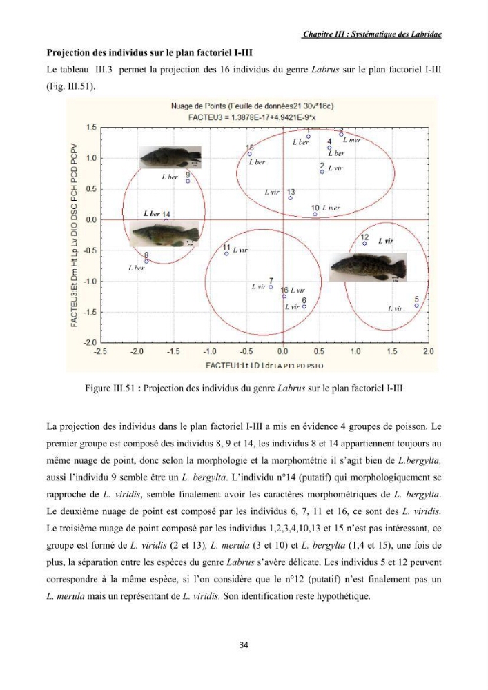 Contribution à l\'étude de la famille des labridae ( Osteichthyens, Perciformes):