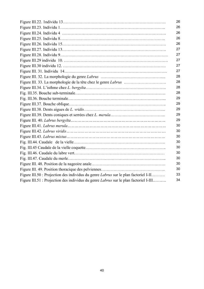 Contribution à l\'étude de la famille des labridae ( Osteichthyens, Perciformes):