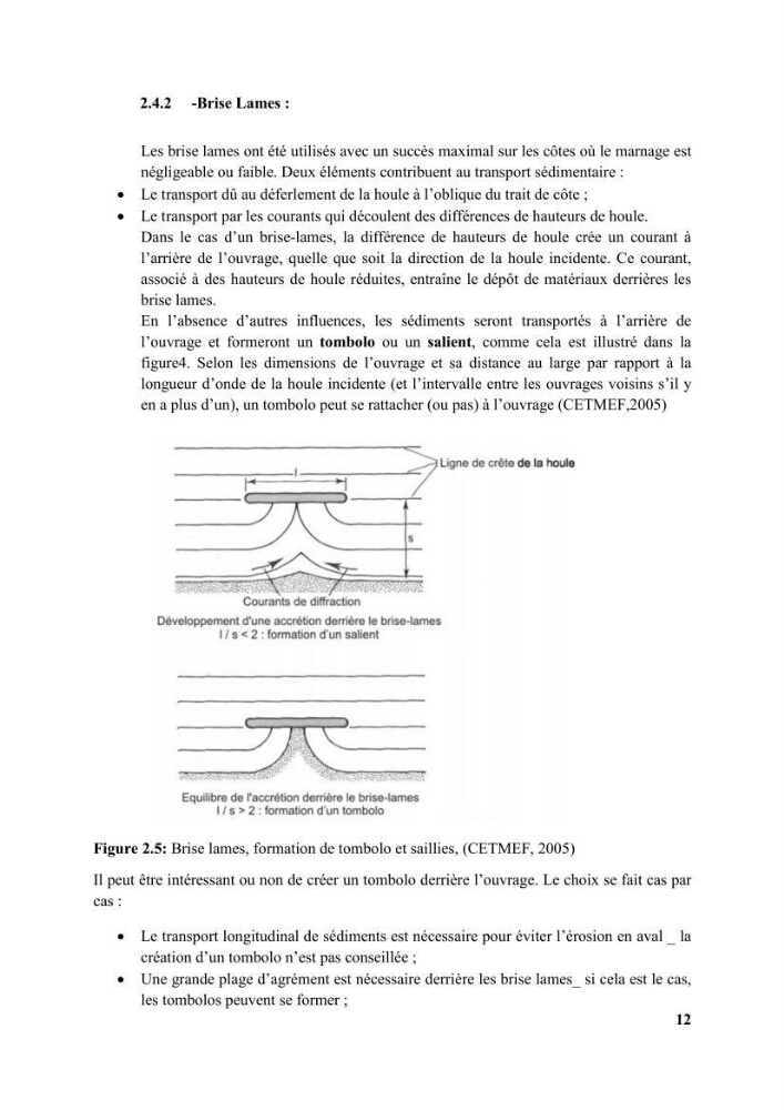 Etude d’impact des brise lames de la commune d’Ain Taya sur les points: érosion/accumulation et qualité des eaux de baignade