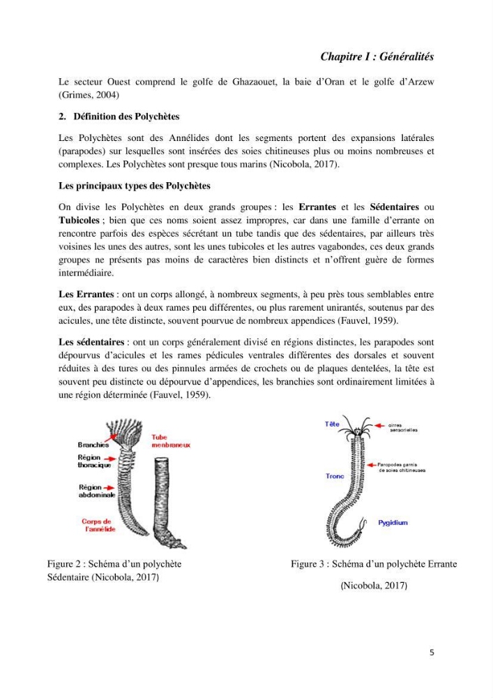 Actualisation de l’inventaire national des Polychètes de la côte algérienne