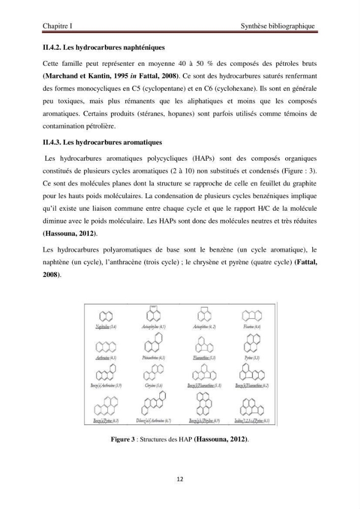 Evaluation de l\'état de la pollution par les hydrocarbures polyaromatiques dans les eaux et sédiments de la baie de Bou-Ismail