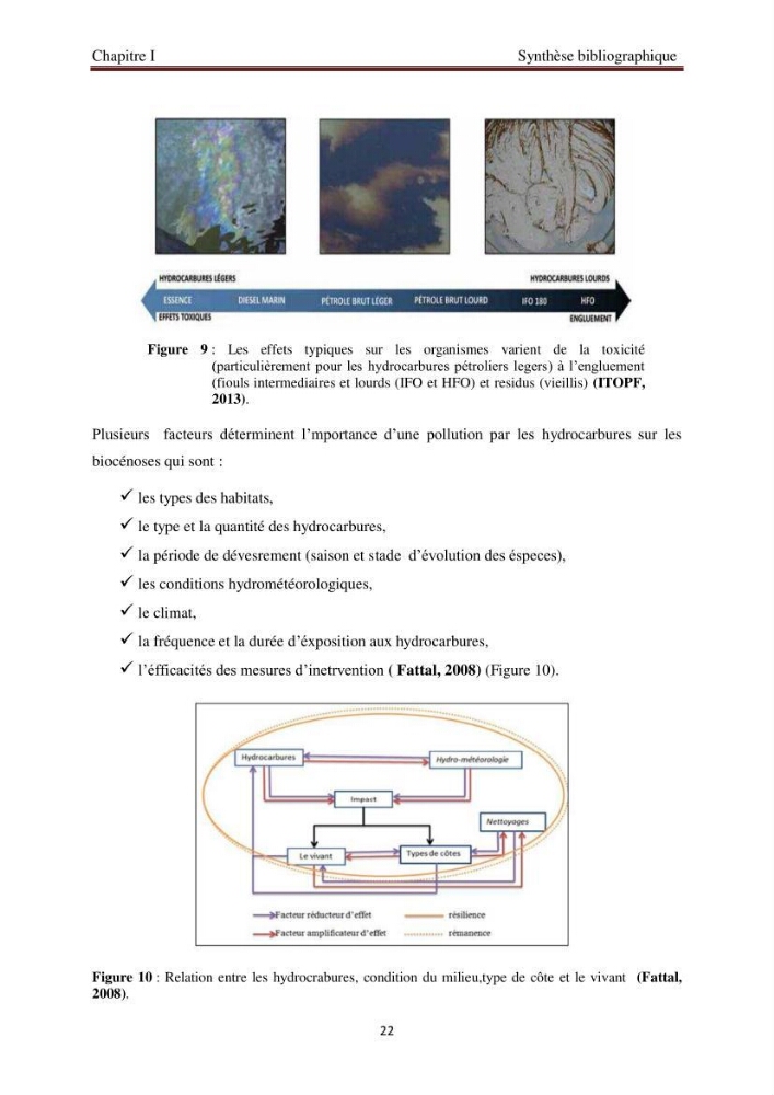 Evaluation de l\'état de la pollution par les hydrocarbures polyaromatiques dans les eaux et sédiments de la baie de Bou-Ismail