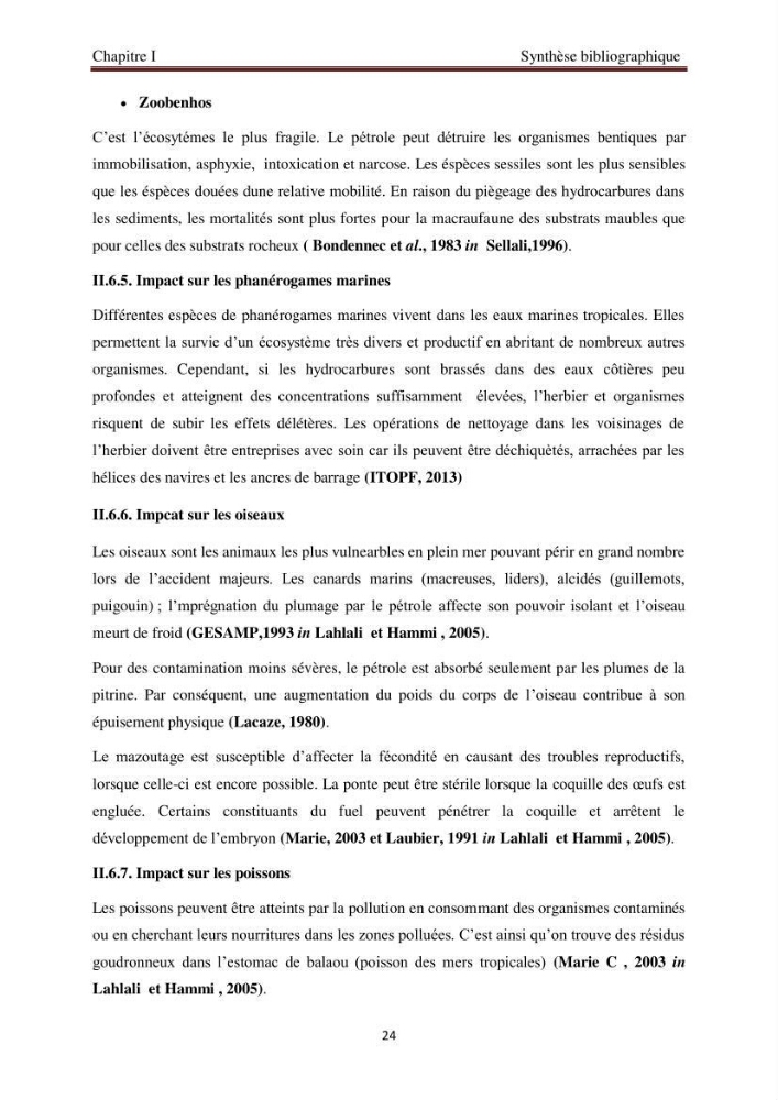 Evaluation de l\'état de la pollution par les hydrocarbures polyaromatiques dans les eaux et sédiments de la baie de Bou-Ismail