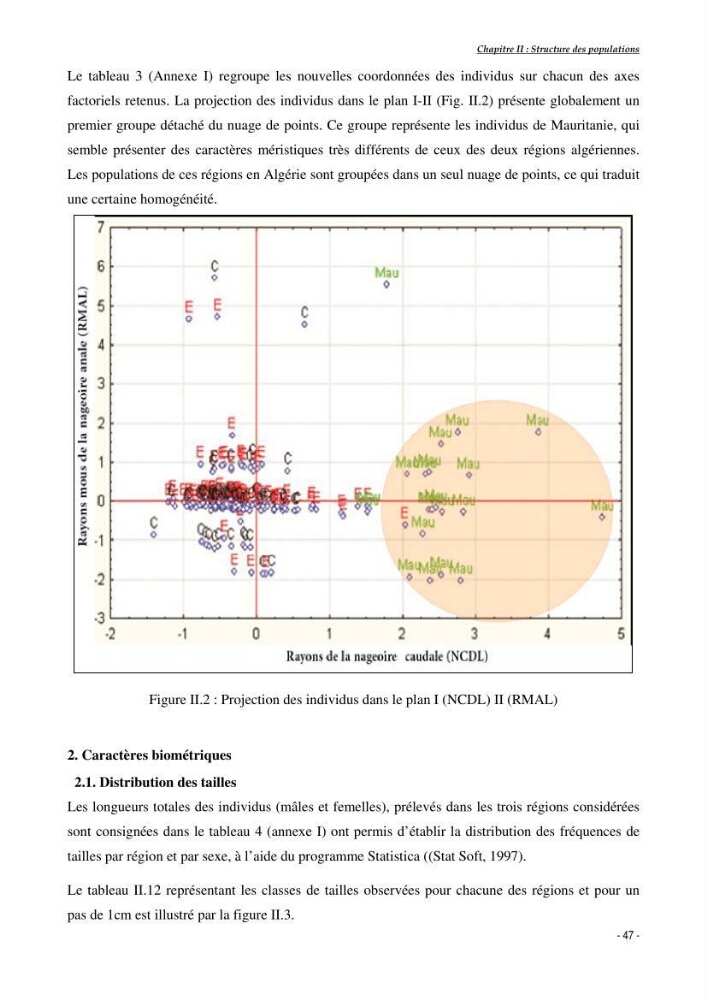 Structure,dynamique et exploitation de quelques populations de Dentex maroccanus (Osteichthyens,sparidae) dans le bassin algérien: