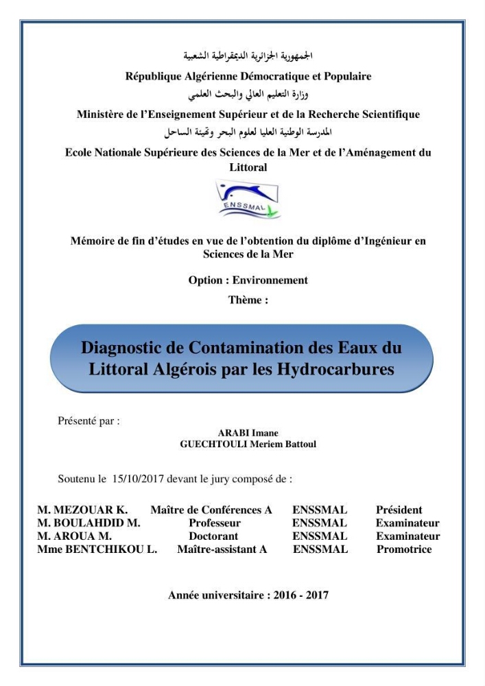 Diagnostic de contamination des eaux du littoral Agerois par les Hydrocarbures