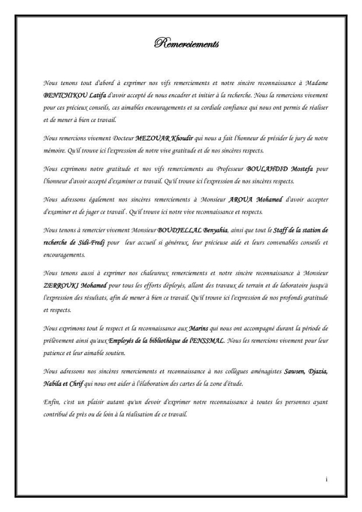 Diagnostic de contamination des eaux du littoral Agerois par les Hydrocarbures