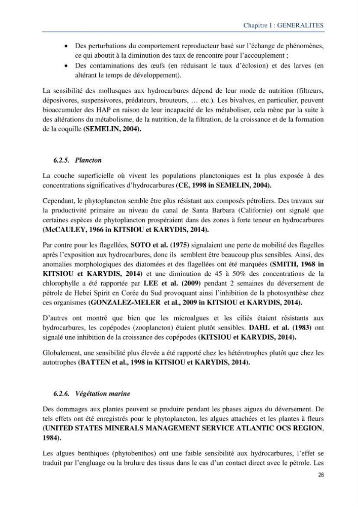 Diagnostic de contamination des eaux du littoral Agerois par les Hydrocarbures