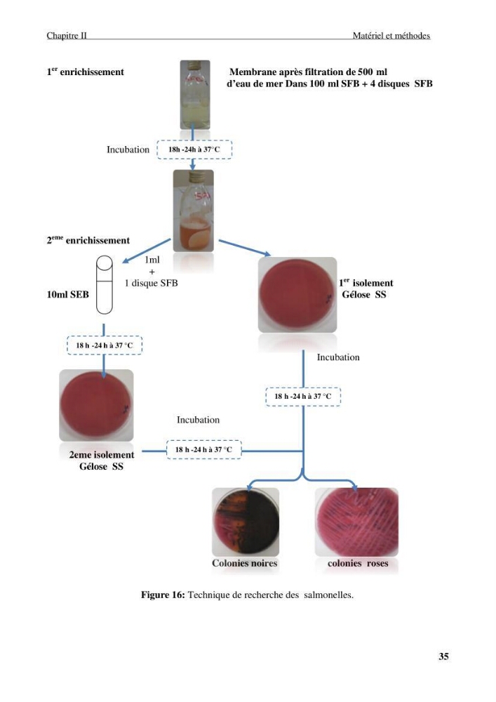Etude des caractéristiques physiochimiques et bactériologiques des eaux de mer et des sédiments dans le port de plaisance de \"Sidi Fredj\", en vue d\'une immersion