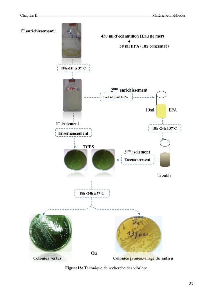 Etude des caractéristiques physiochimiques et bactériologiques des eaux de mer et des sédiments dans le port de plaisance de \"Sidi Fredj\", en vue d\'une immersion