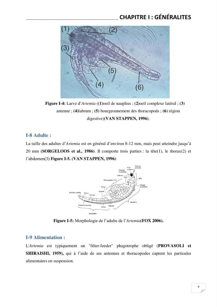 Application de bactéries à fort potentiel probiotique dans un élevage d’Artémia. sp