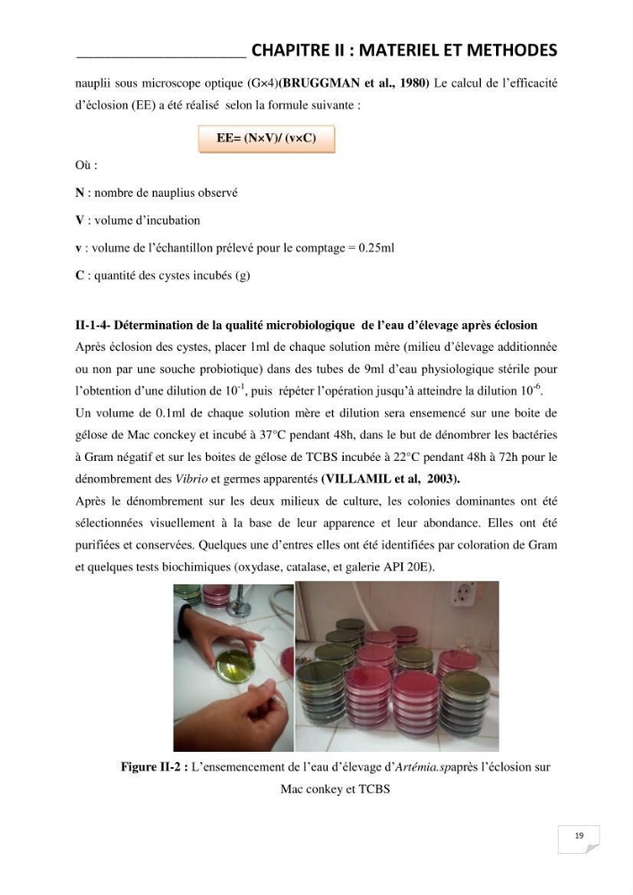 Application de bactéries à fort potentiel probiotique dans un élevage d’Artémia. sp