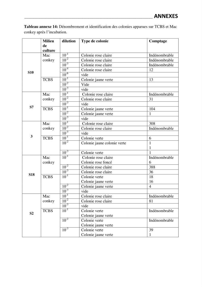 Application de bactéries à fort potentiel probiotique dans un élevage d’Artémia. sp