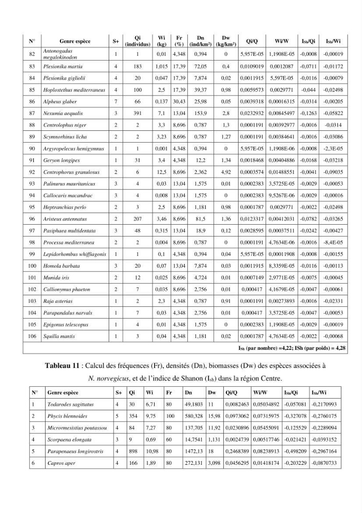 Contribution à l’étude du comportement de la langoustine Nephrops norvegicus (L., 1758) (Malacostraca, Decapoda) en Algérie.: