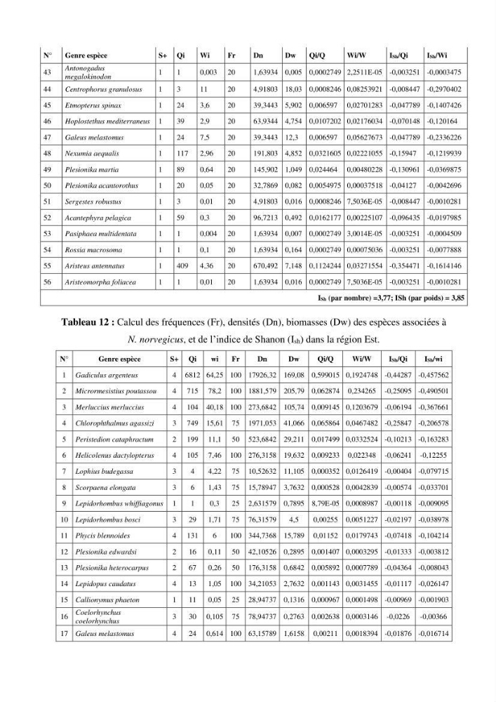 Contribution à l’étude du comportement de la langoustine Nephrops norvegicus (L., 1758) (Malacostraca, Decapoda) en Algérie.: