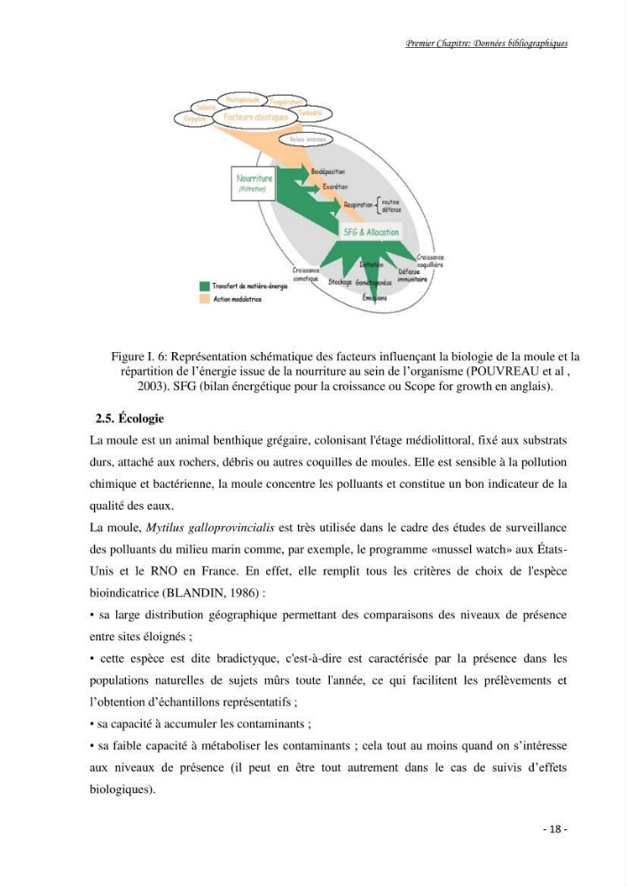Mise au point d\'une technique de dosage de l\'activité des enzymes du stress oxydatif chez la moule Perna Perna (Linnaeus 1758 .: