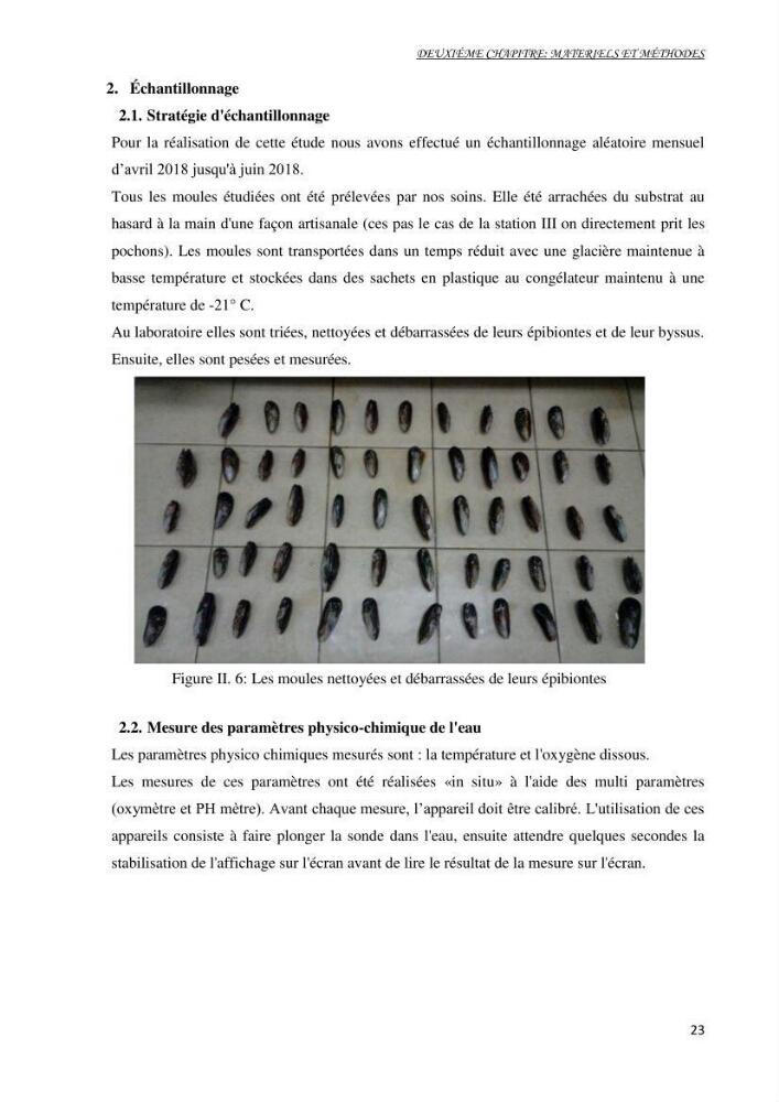 Mise au point d\'une technique de dosage de l\'activité des enzymes du stress oxydatif chez la moule Perna Perna (Linnaeus 1758 .: