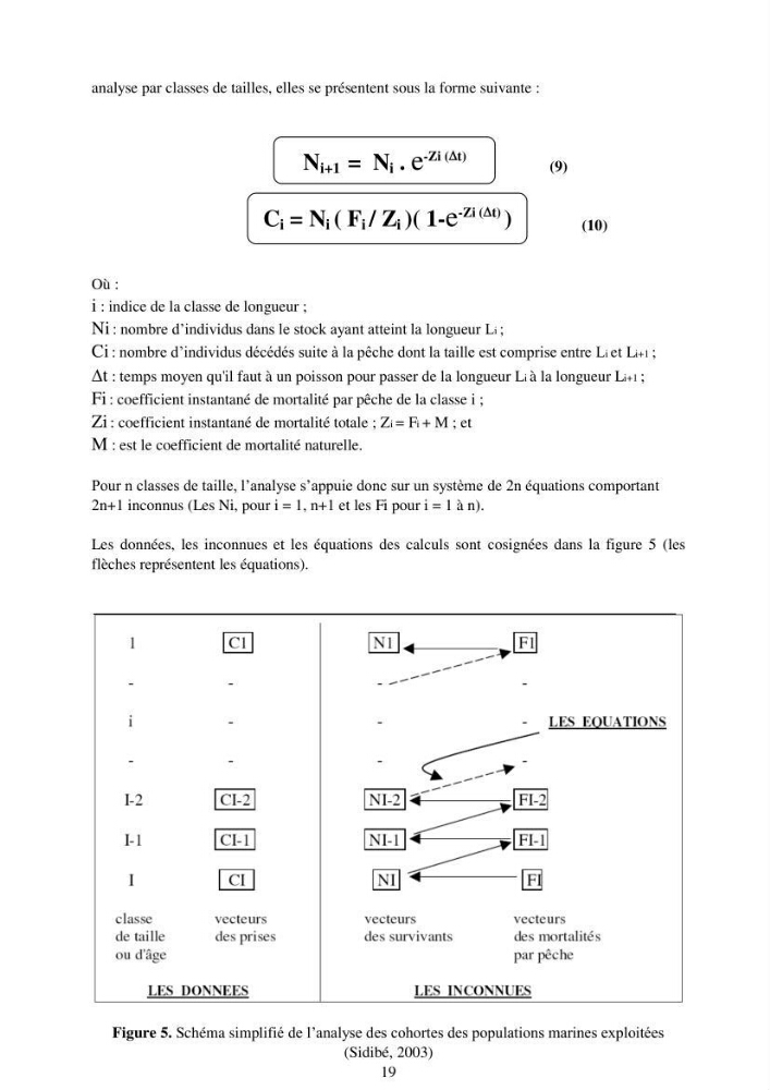 Impact de la variation de la mortalité naturelle (M) par âge sur l\'estimation de la biomasse exploitable de la sardinelle (Sardinella aurita ,Valenciennes 1847) de la région centre de la côte algérienne: