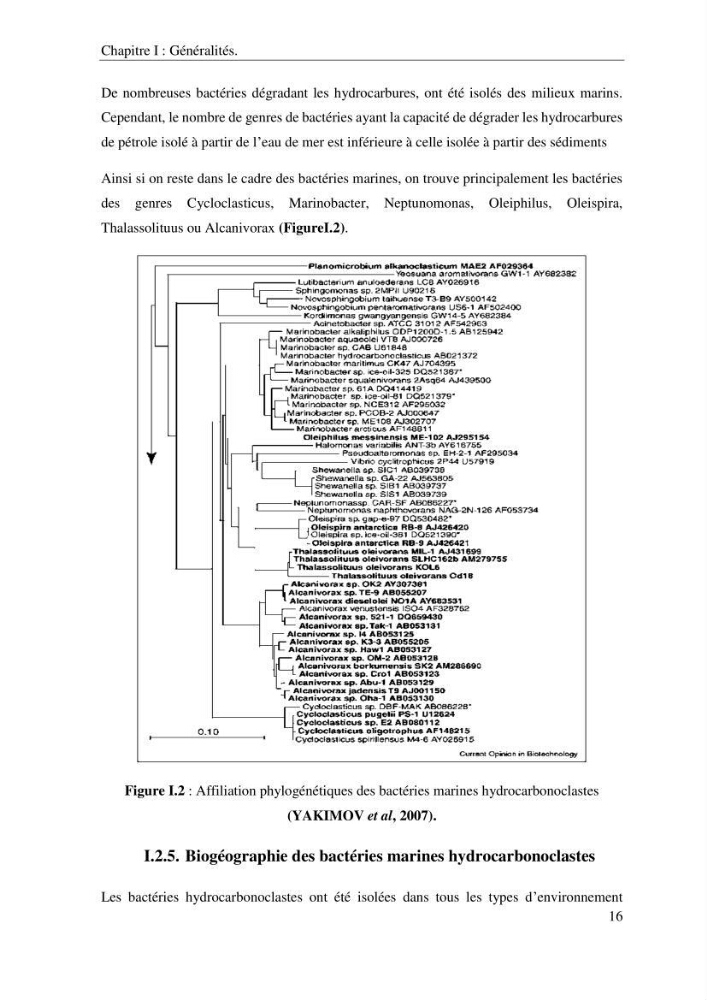 Les effets des paramètres physicochimiques sur l\'activité des bactéries marines hydrocarbonoclastes
