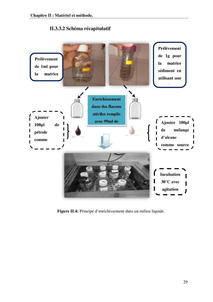 Les effets des paramètres physicochimiques sur l\'activité des bactéries marines hydrocarbonoclastes