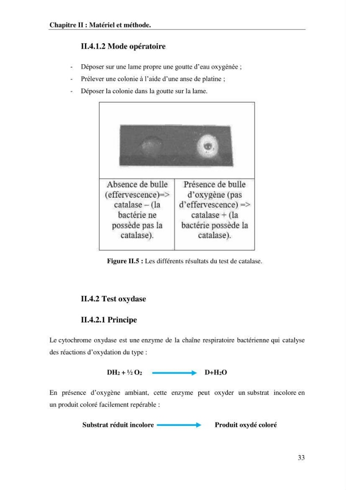Les effets des paramètres physicochimiques sur l\'activité des bactéries marines hydrocarbonoclastes
