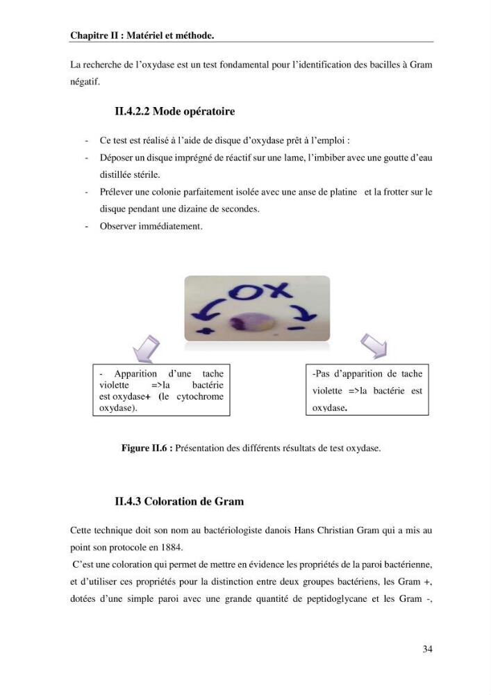 Les effets des paramètres physicochimiques sur l\'activité des bactéries marines hydrocarbonoclastes