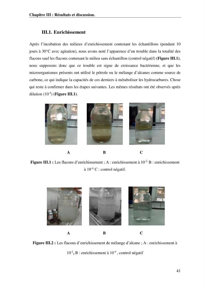 Les effets des paramètres physicochimiques sur l\'activité des bactéries marines hydrocarbonoclastes