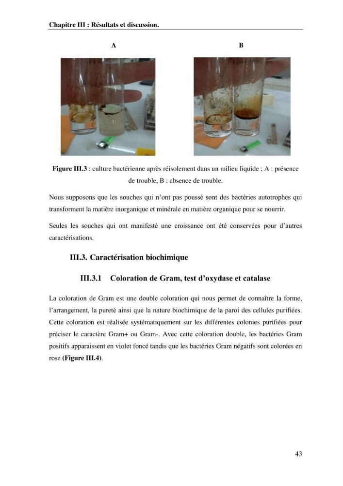 Les effets des paramètres physicochimiques sur l\'activité des bactéries marines hydrocarbonoclastes