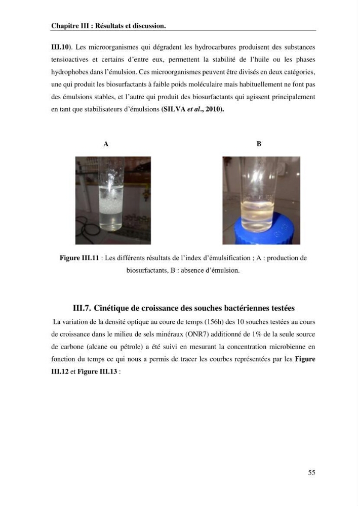 Les effets des paramètres physicochimiques sur l\'activité des bactéries marines hydrocarbonoclastes