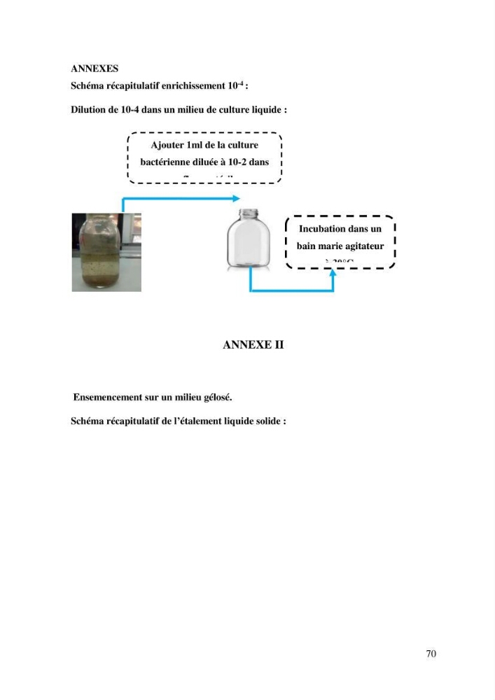 Les effets des paramètres physicochimiques sur l\'activité des bactéries marines hydrocarbonoclastes