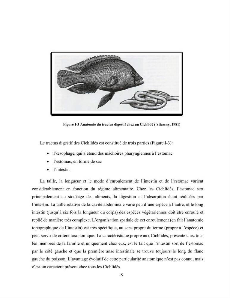 Suivi zootechnique de l’efficacité de six aliments fabriqués localement sur la croissance et la pigmentation des Cichlidés américains cas de Pterophyllum scalare. et Andinoacara rivulatus.: