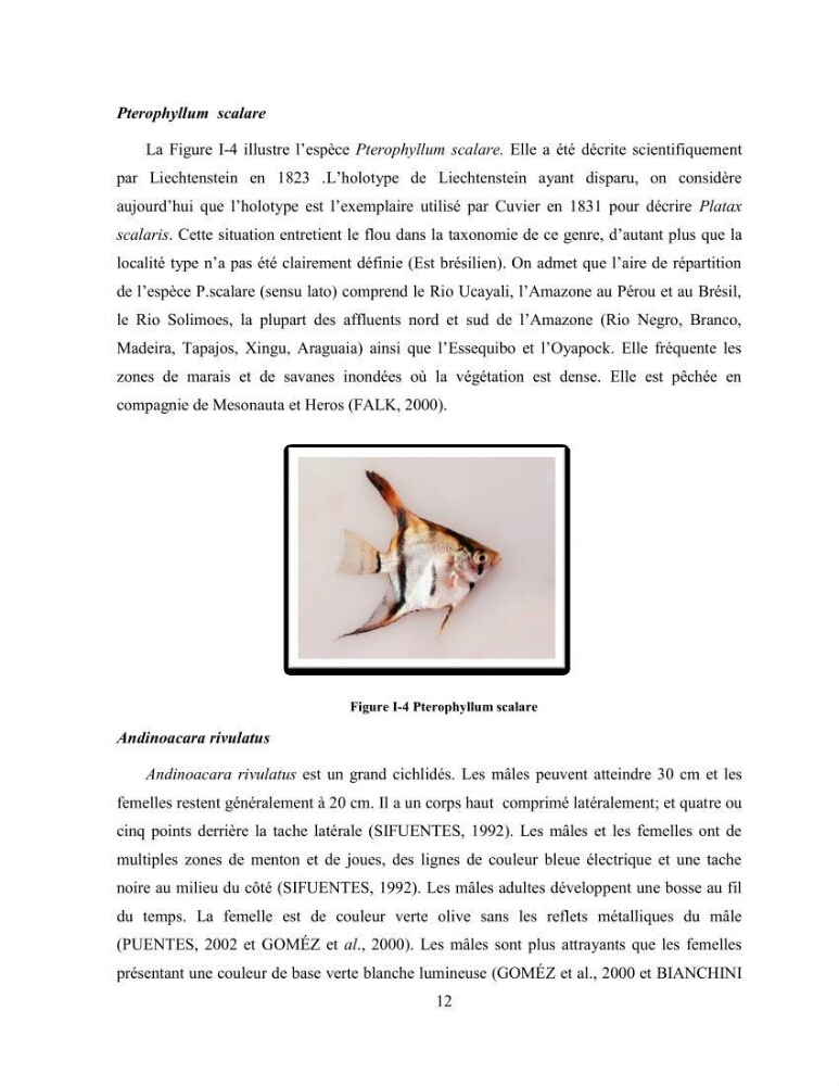 Suivi zootechnique de l’efficacité de six aliments fabriqués localement sur la croissance et la pigmentation des Cichlidés américains cas de Pterophyllum scalare. et Andinoacara rivulatus.: