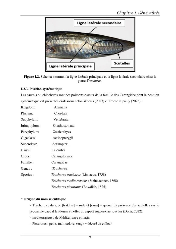 Contribution à l’étude de l’âge, de la croissance et de l’exploitation des espèces du genre Trachurus (Téléostéens, Carangidae) de la région centre du littoral algérien