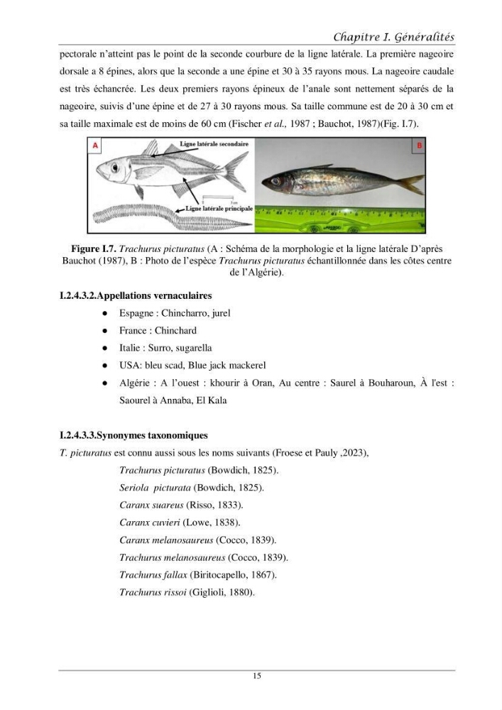 Contribution à l’étude de l’âge, de la croissance et de l’exploitation des espèces du genre Trachurus (Téléostéens, Carangidae) de la région centre du littoral algérien