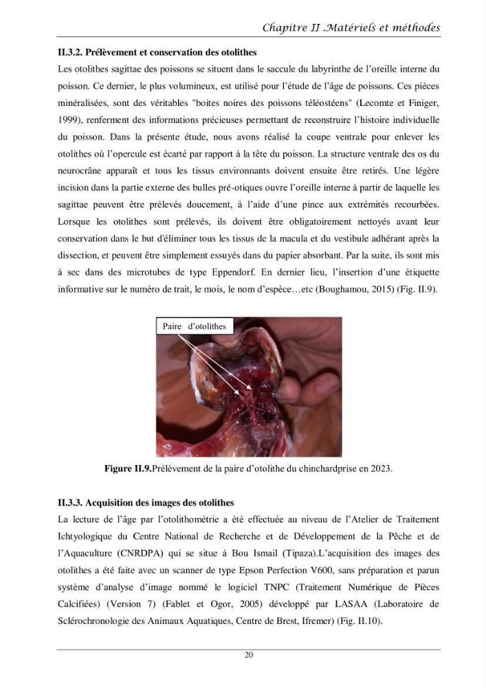 Contribution à l’étude de l’âge, de la croissance et de l’exploitation des espèces du genre Trachurus (Téléostéens, Carangidae) de la région centre du littoral algérien