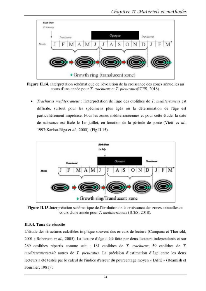 Contribution à l’étude de l’âge, de la croissance et de l’exploitation des espèces du genre Trachurus (Téléostéens, Carangidae) de la région centre du littoral algérien