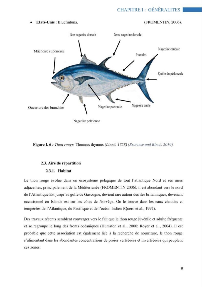 Contribution à l’étude de l’âge, de la croissance et de l’exploitation des espèces du genre Trachurus (Téléostéens, Carangidae) de la région centre du littoral algérien